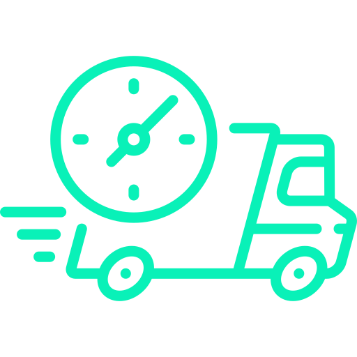 Home fast delivery.png